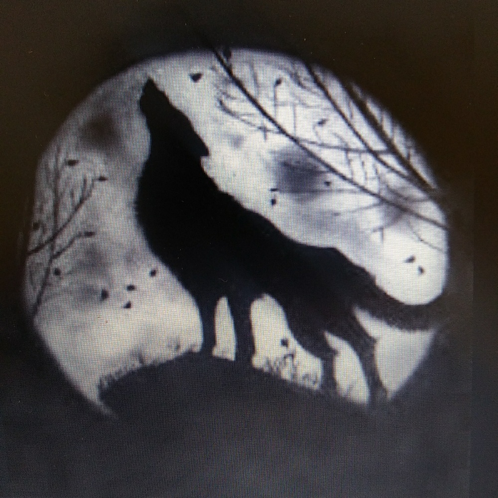 Meet your Posher, Noah